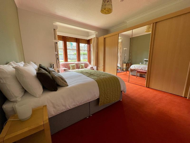 Deluxe King Room image 1