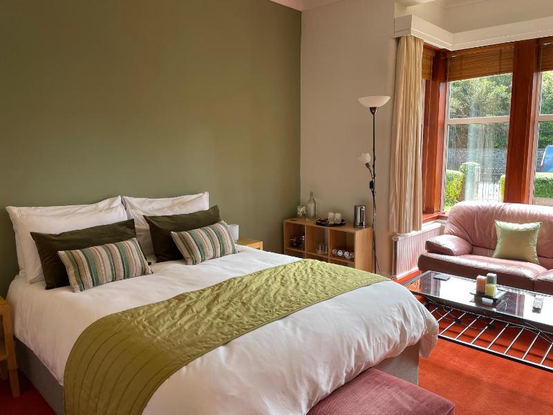 Deluxe King Room image 2