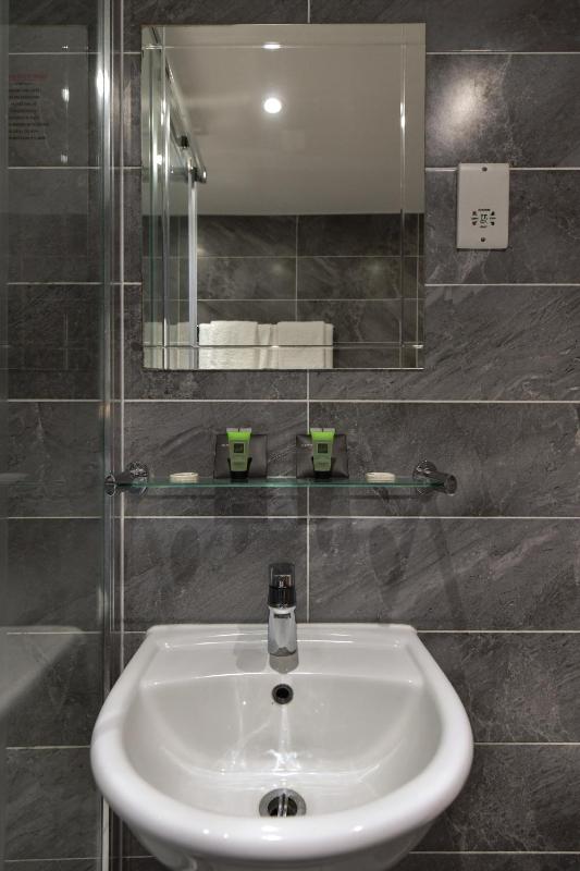 Deluxe Single Room image 1