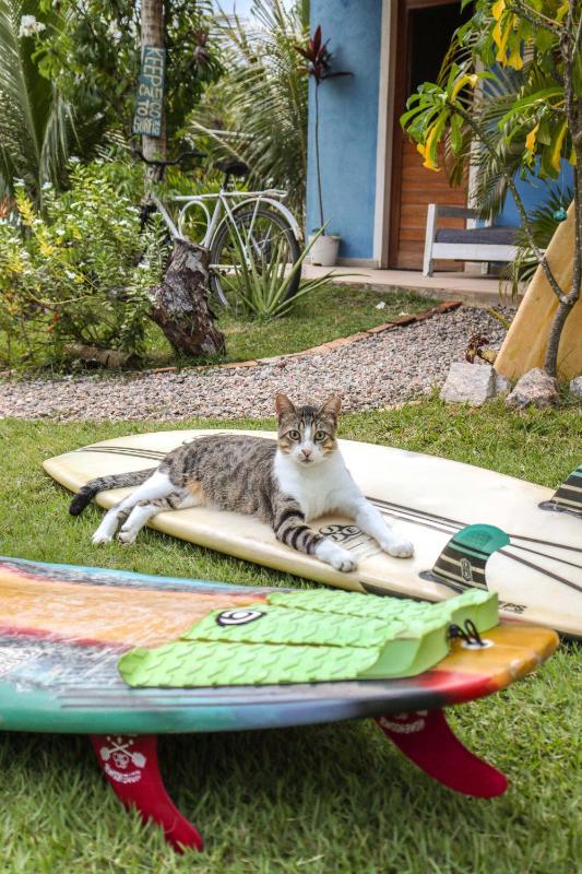 Back to the Beach Hostel - Pipa - image 31