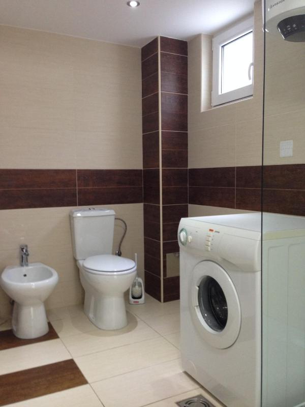 One-Bedroom Apartment image 2