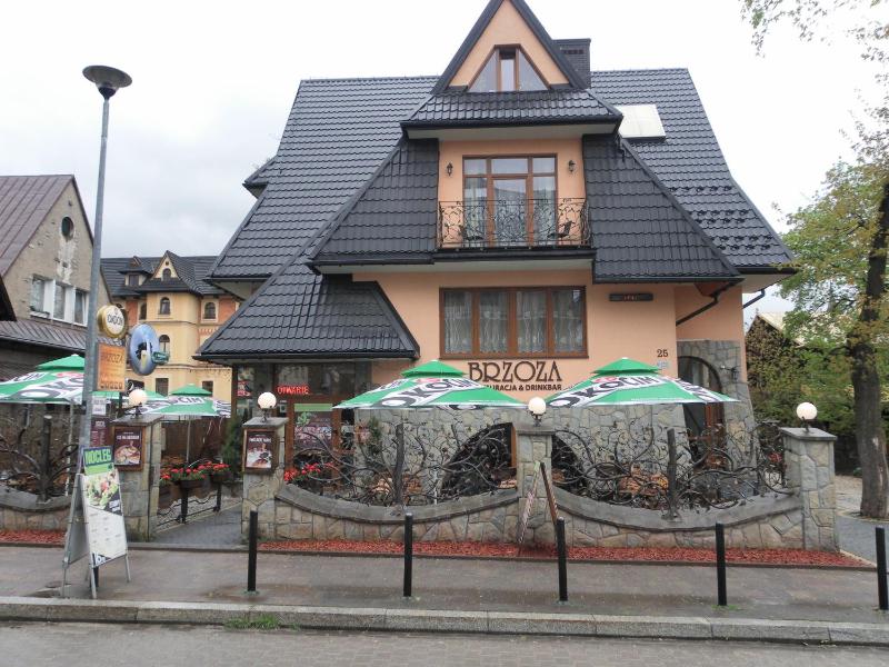Brzoza w centrum Zakopanego - image 1