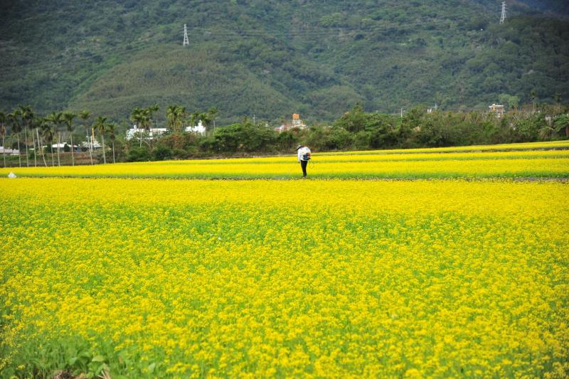 福田民宿 台東民宿476號 - image 24