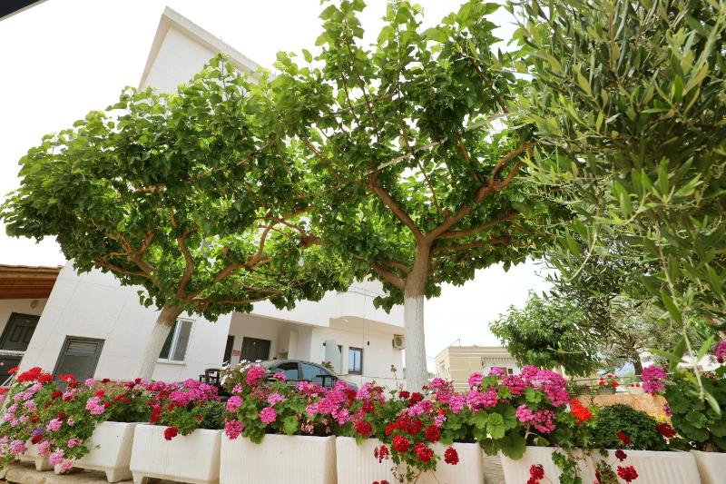 Guest House Gerard - image 9