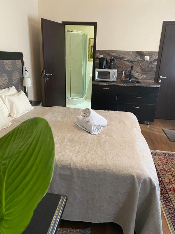 Large Double or Twin Room image 2
