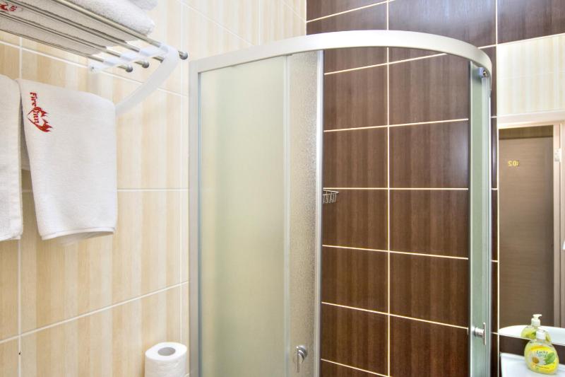 One-Bedroom Apartment image 4