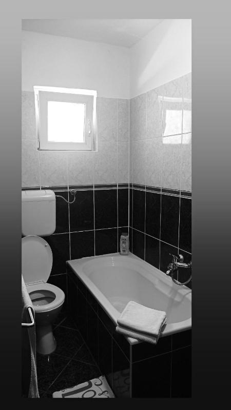 One-Bedroom Apartment image 3