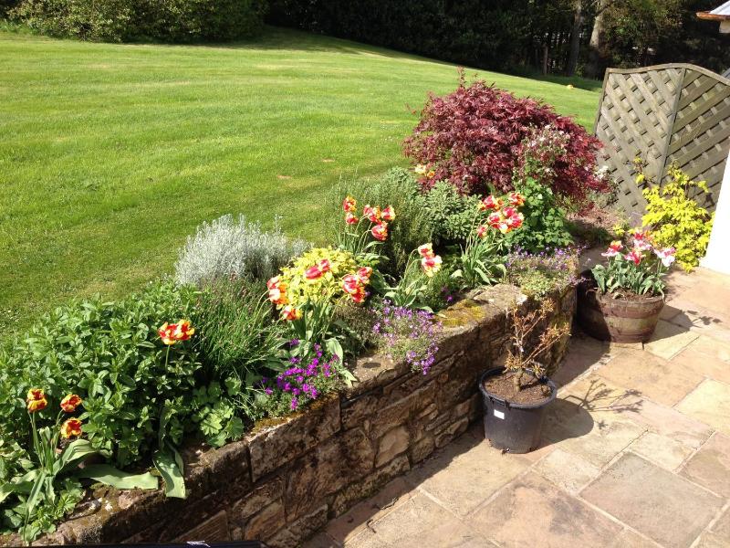 Family Room with Garden View image 4