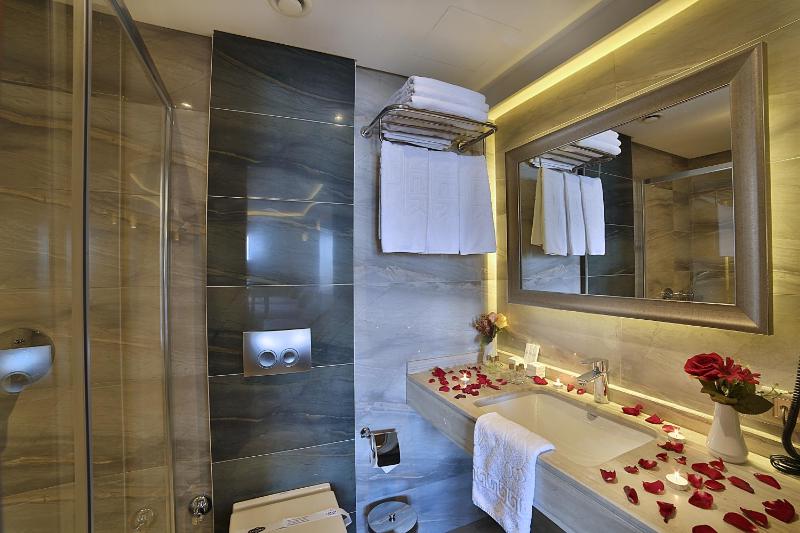 Standard Single Room image 4