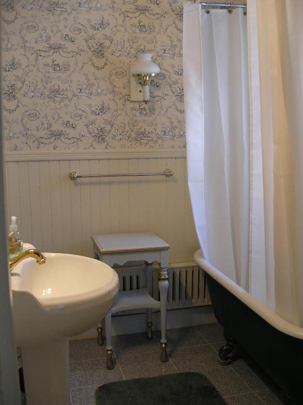 Deluxe King Suite image 4