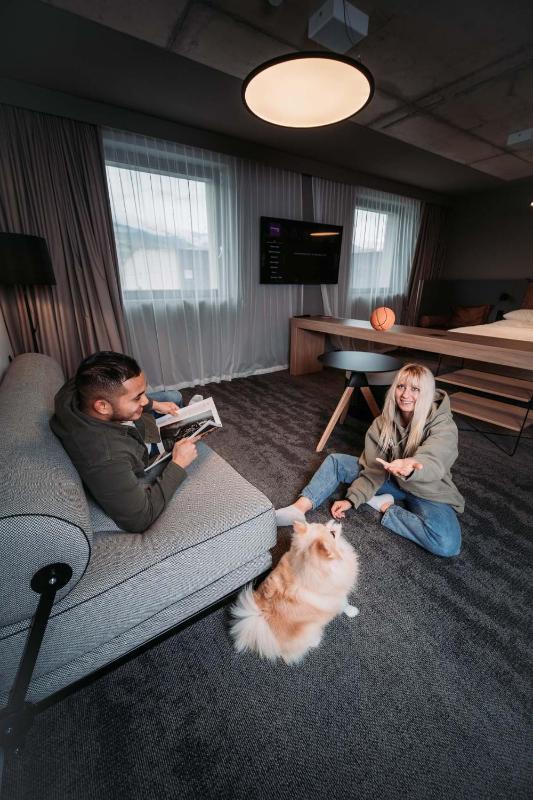 Moxy Family room with 1 Queen, Sofa bed image 3