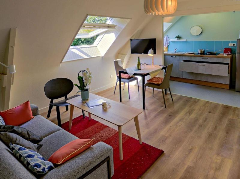 Superior Apartment image 1