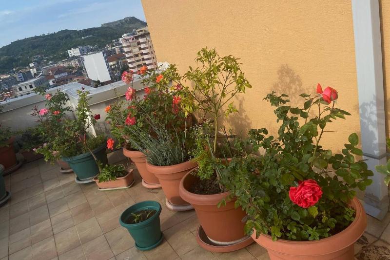 Belvedere Centro Shkoder - image 11