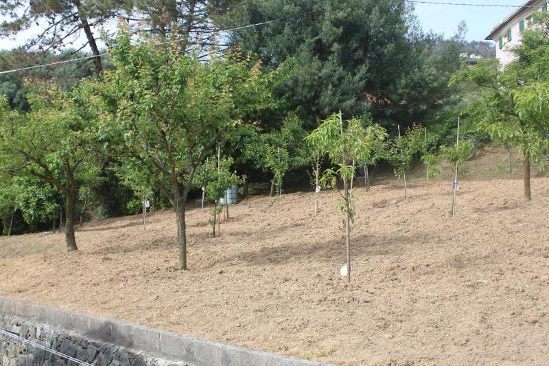 Le Ginestre - image 15