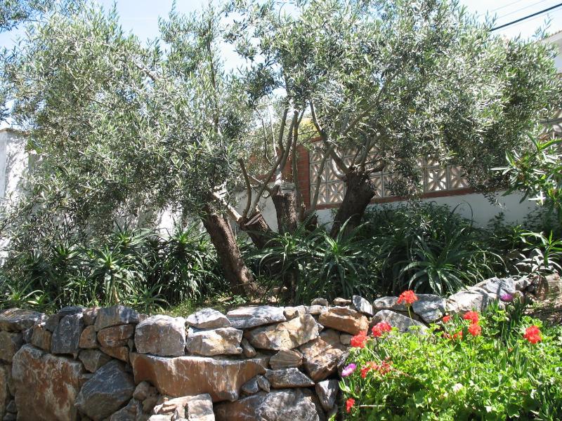 Villa with Private Pool image 1