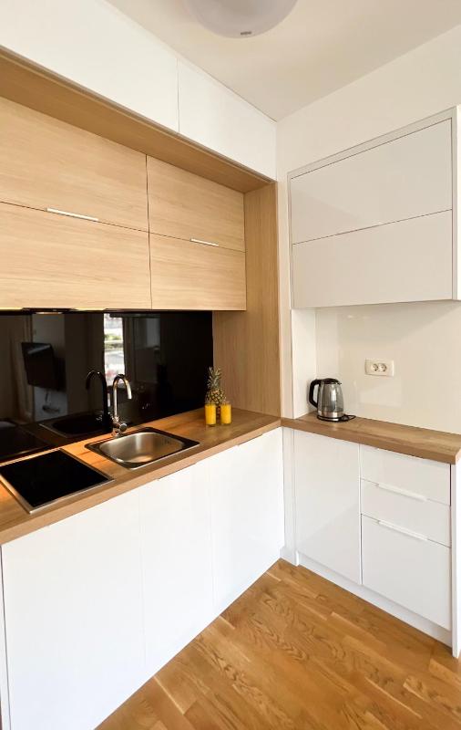One-Bedroom Apartment image 2