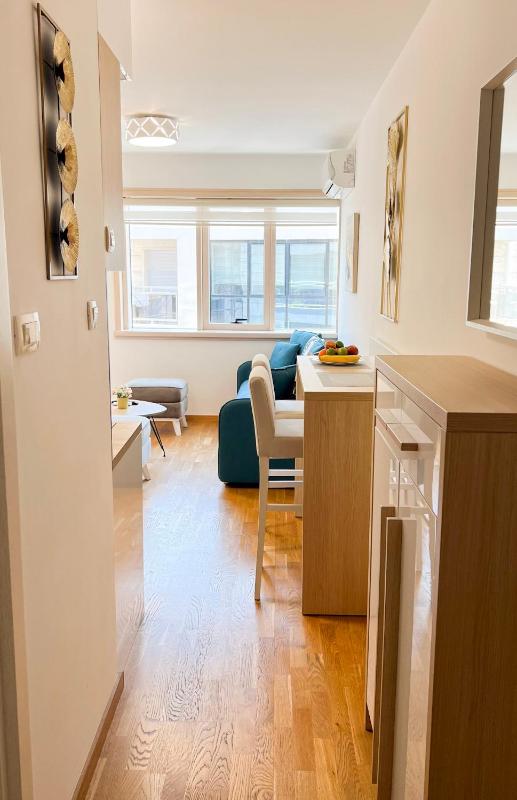 One-Bedroom Apartment image 3