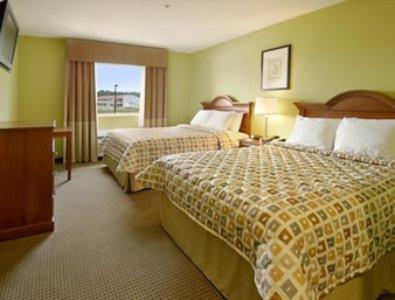 Queen Room with Two Queen Beds - Non-Smoking image 2