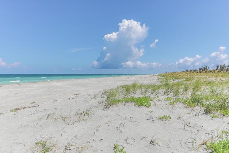 The Shore Bird - image 14