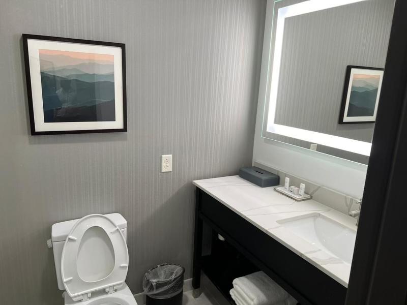 King Room with Roll-in Shower - Mobility Access/Non-Smoking image 1