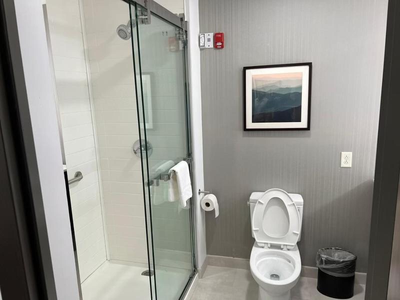 King Suite with Mobility Access and Roll-In Shower, Non-Smoking image 1