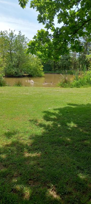 Acacia Lodge image 3