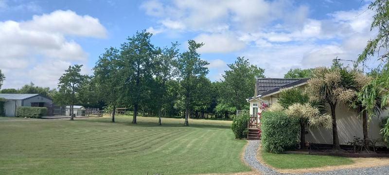 Walnut Bungalow image 4