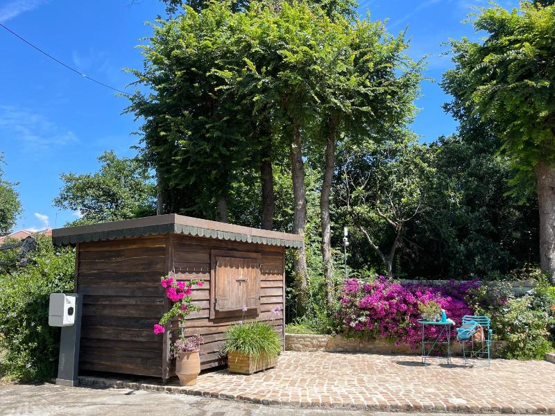Suite with Private Pool image 1