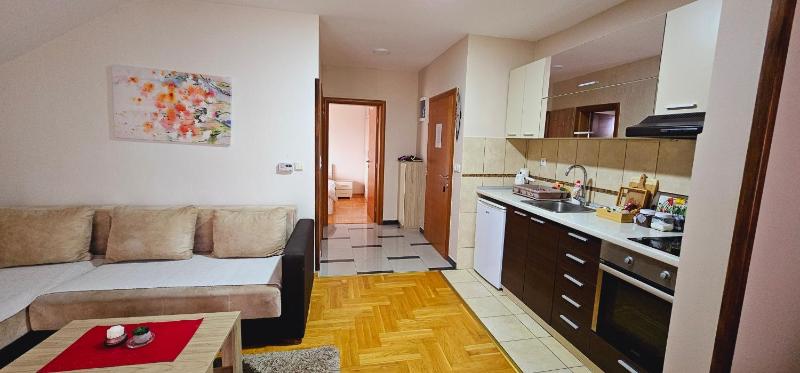 Deluxe Apartment image 3