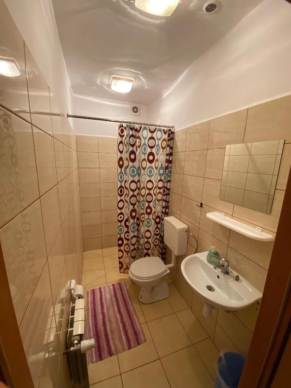 Mixed Dormitory Room image 3