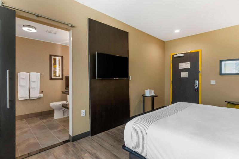 GLo Best Western Pooler - Savannah Airport Hotel - image 3
