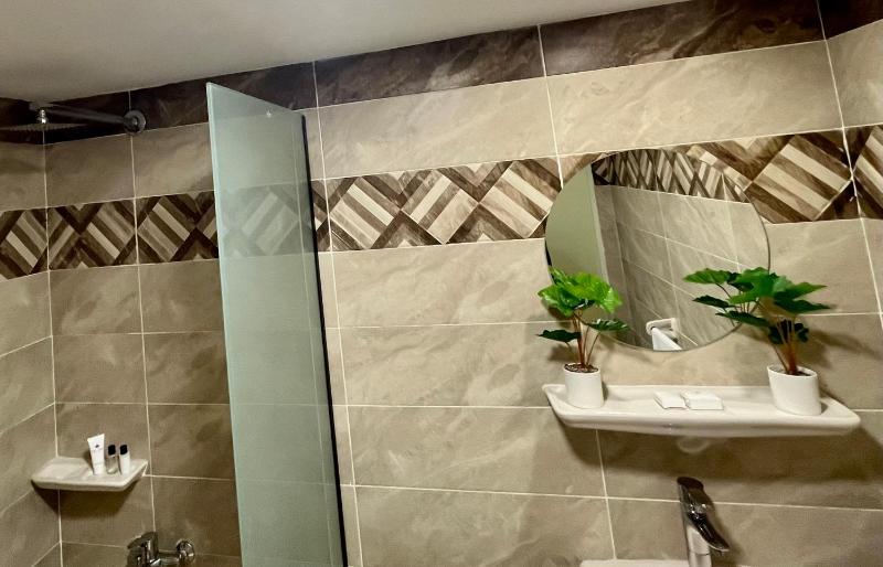 Double or Twin Room image 4