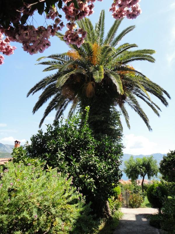 Studio with Balcony image 2