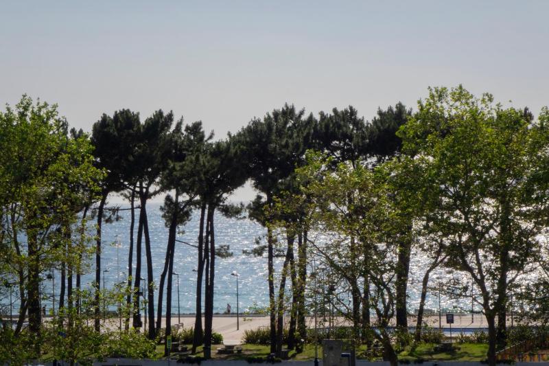 Apartamentos Dunas de Samil - image 25
