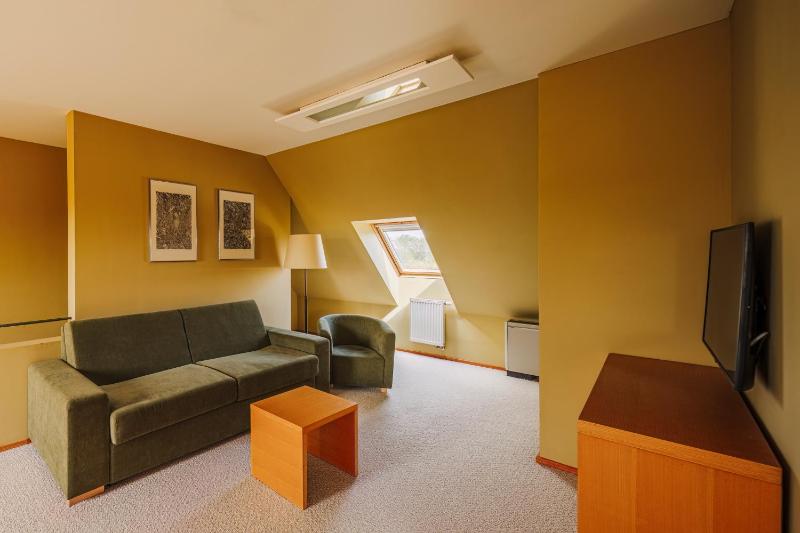 Attic Suite with Free Wellness Entrance image 1