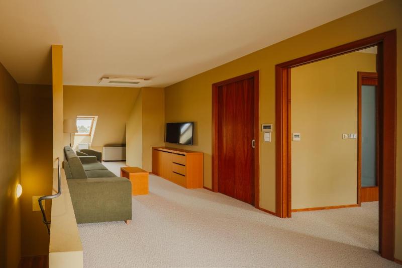 Attic Suite with Free Wellness Entrance image 3