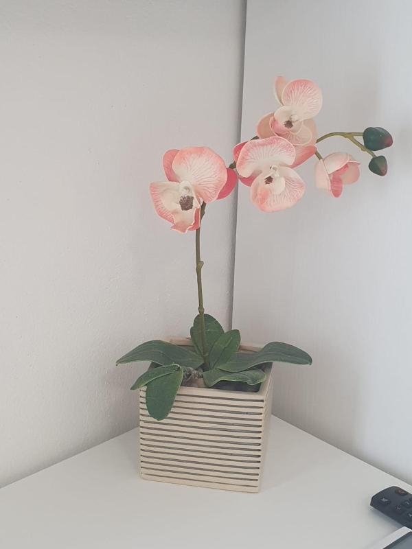 Apartments Amelie - image 15