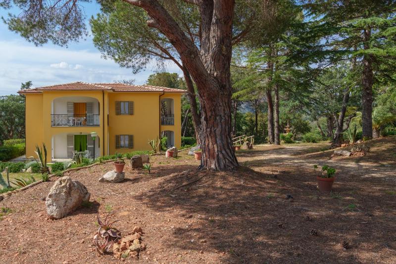 Villino nel Bosco - image 27