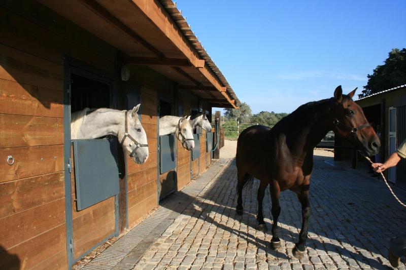 Casas das Amoreiras - image 6