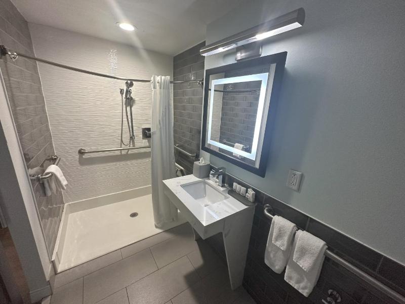 Queen Room with Communications and Mobility Accessible Roll-In Shower image 4