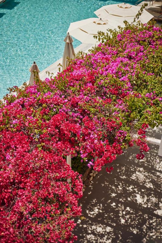 Luxury Double Room image 2