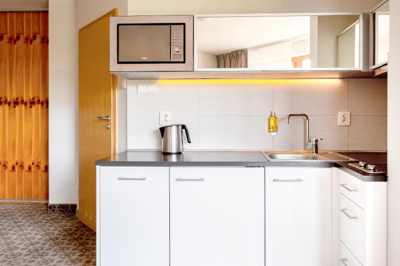 One-Bedroom Apartment with Mountain View image 4