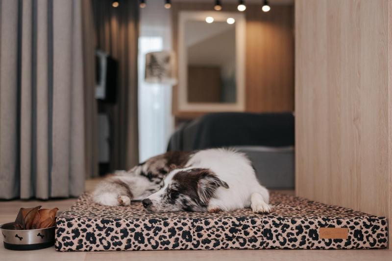 Studio Apartment image 2