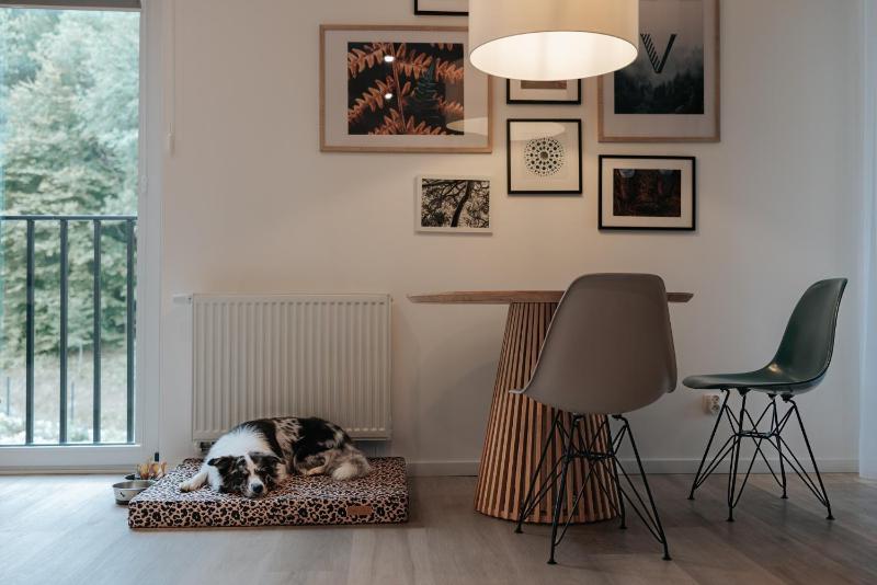 Studio Apartment image 3