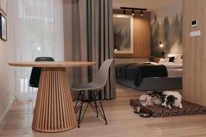 Studio Apartment image 4