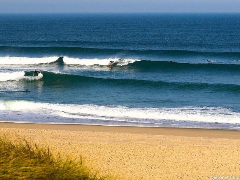 Apartment (4 Adults) image 3