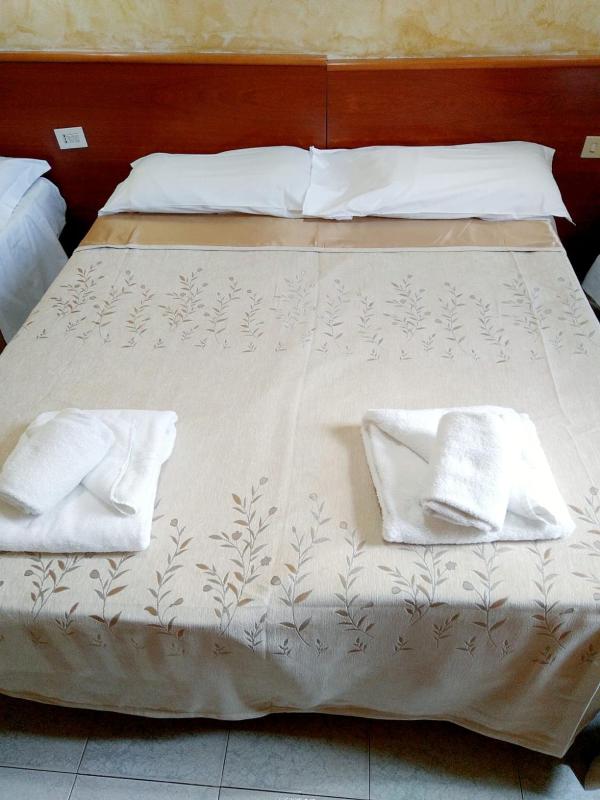 Double or Twin Room image 4