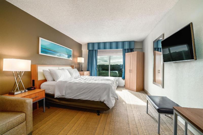 Standard King Room image 3