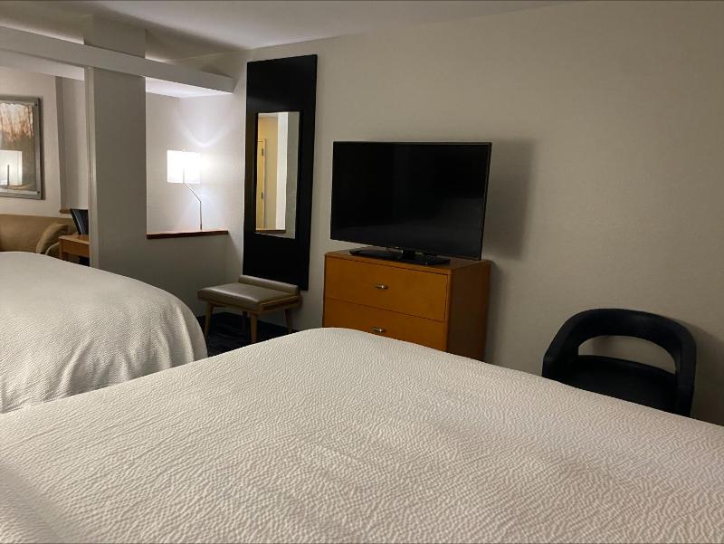 One-Bedroom Suite image 4