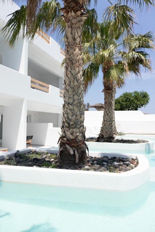 Suite with Private Pool image 1